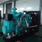 CNGエンジン力500kwの天燃ガスの発電機のturbochargingラジエーターの水冷米国Altronic
